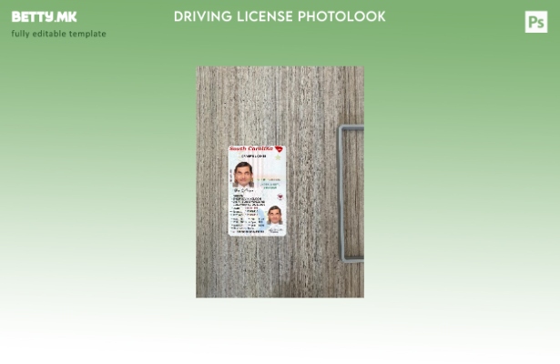 модерен стил САД Јужна Каролина под шаблон за фото изглед на возачка дозвола